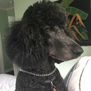 Meet your Posher, Maria